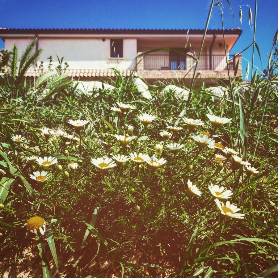 Casale Del Sole Bed & Breakfast Cepagatti Екстериор снимка