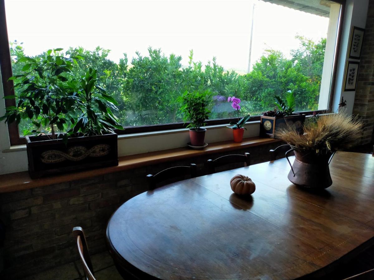 Casale Del Sole Bed & Breakfast Cepagatti Екстериор снимка