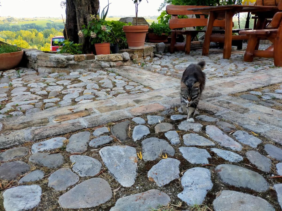 Casale Del Sole Bed & Breakfast Cepagatti Екстериор снимка